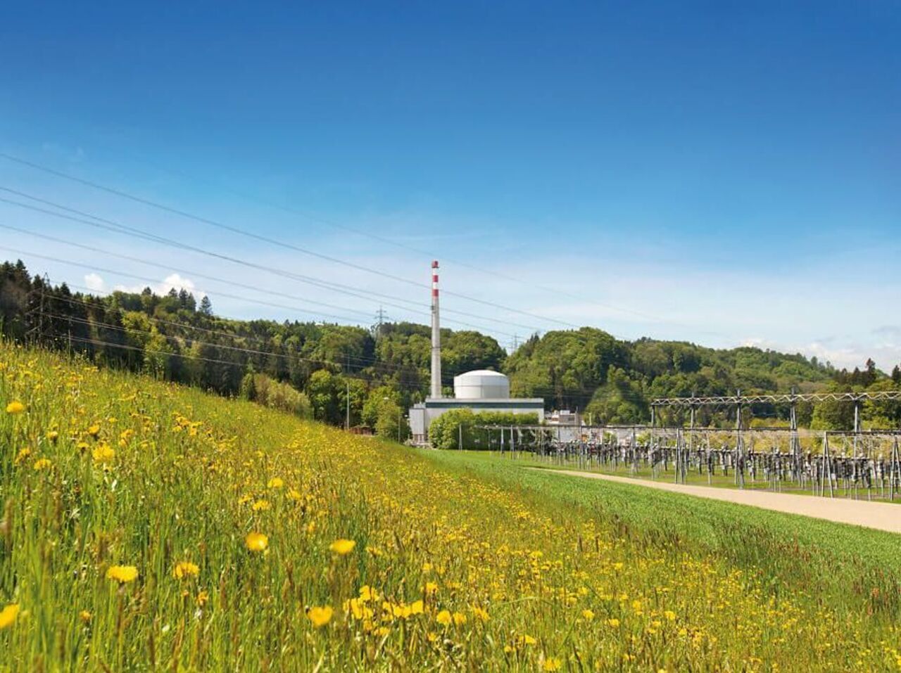 Noch unverzichtbar: Schweizer AKWs 